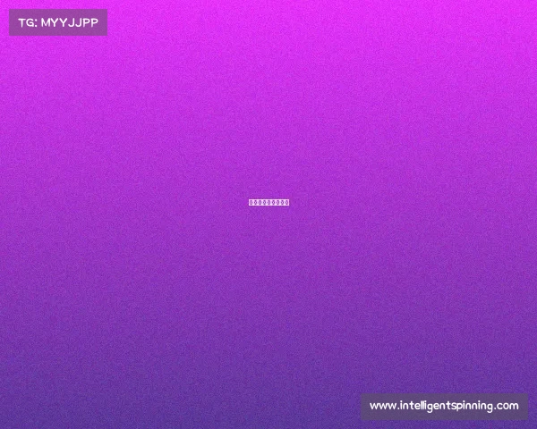 全国电子竞技锦标赛